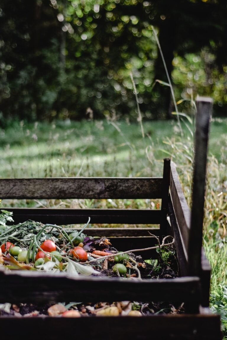 Bac de compost au jardin contenant des déchets végétaux